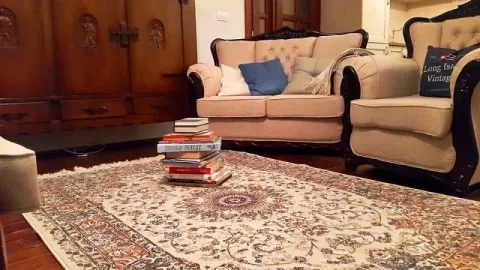 Dnevna soba sa klasičnim namještajem i tepihom. - image 15