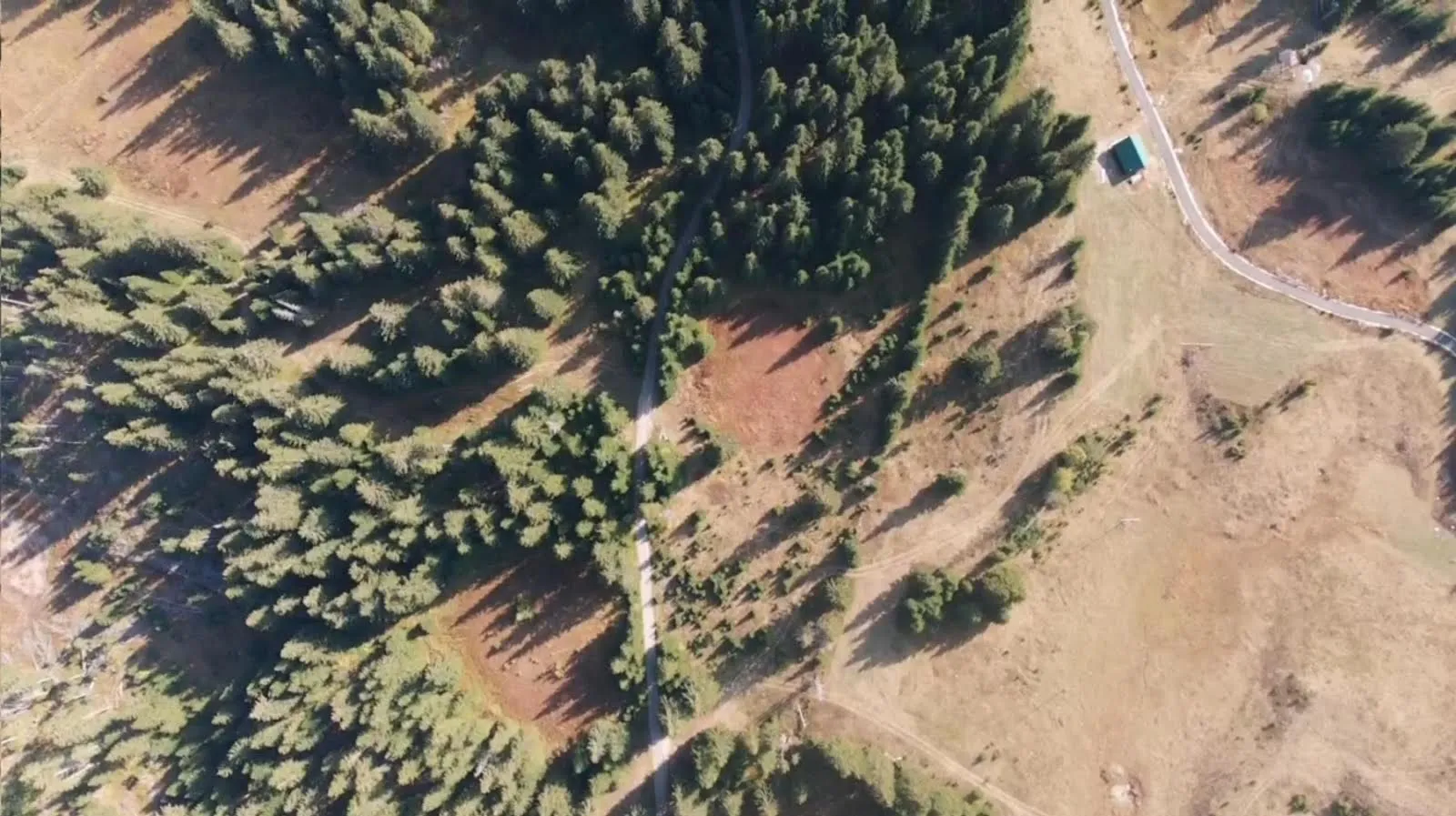 Prodaja, plac, 9000m², Žabljak, Crna Gora