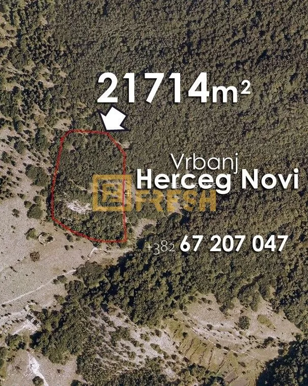 Prodaja, plac, 21714m², Herceg Novi, Crna Gora