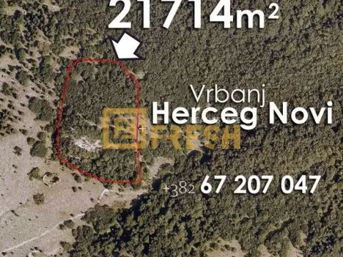 Sale, land lot, 21714m², Herceg Novi, Crna Gora - image 9
