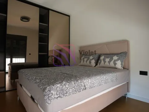 Izdavanje, jednosoban stan, 47m², Dalmatinska ulica, Podgorica - image 10
