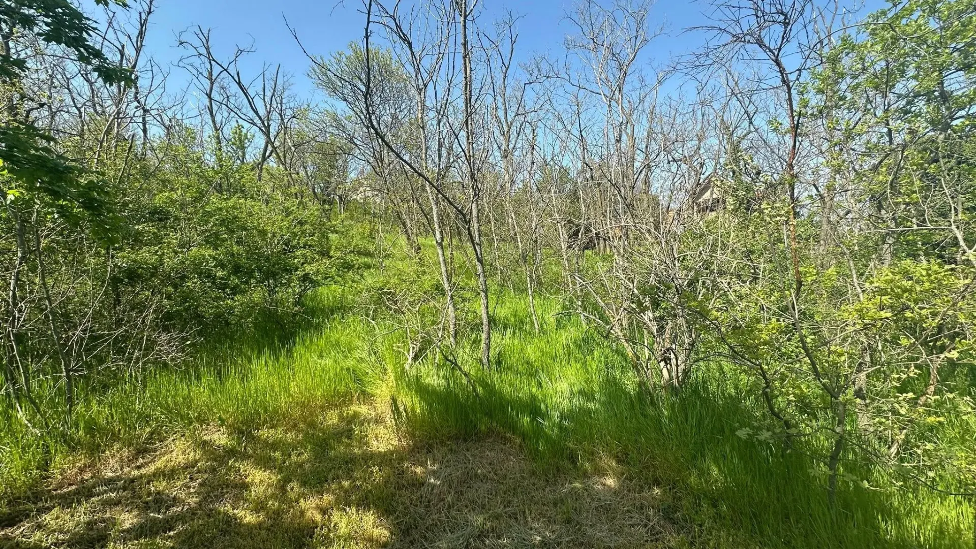 Prodaja, plac, 300m², Vršac, Srbija