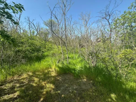 Prodaja, plac, 300m², Vršac, Srbija - image 6