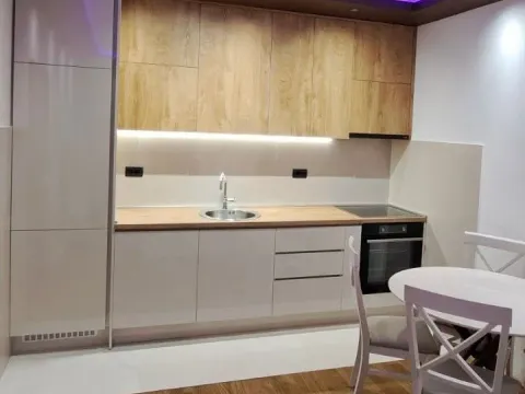 Rent, one bedroom apartment, 48m², Zabjelo, Podgorica - image 3