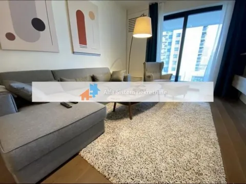 Izdavanje, dvosoban stan, 71m², Savski Venac, Beograd - image 4