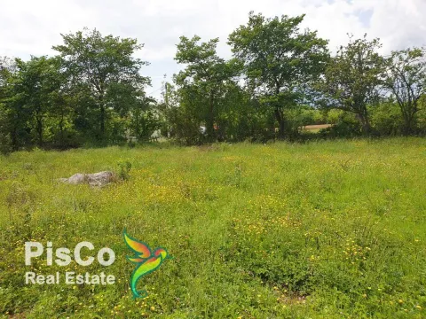 Prodaja, plac, Danilovgrad, Crna Gora - image 6