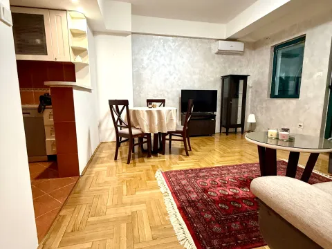 Izdavanje, jednosoban stan, 60m², Centar, Podgorica - image 3