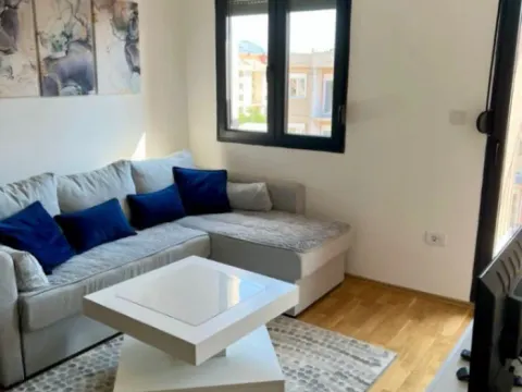 Izdavanje, jednosoban stan, 38m², Zabjelo, Podgorica - image 2