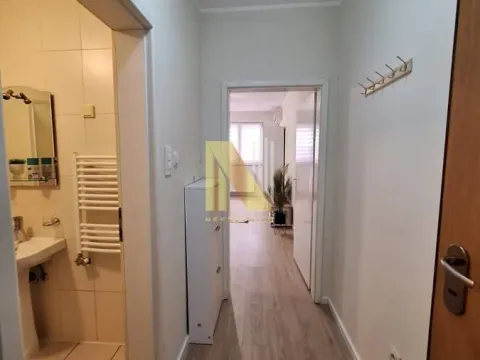 Rent, studio apartment, 30m², Socijalno, Novi Sad Sve Podlokacije - image 9