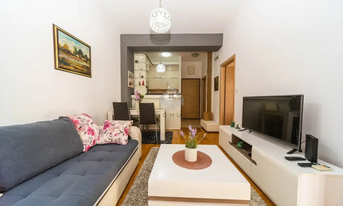Rent, one bedroom apartment, 43m², Ljubović, Podgorica