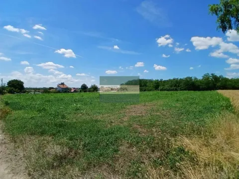 Prodaja, plac, 12747m², Vinorača, Jagodina - image 5