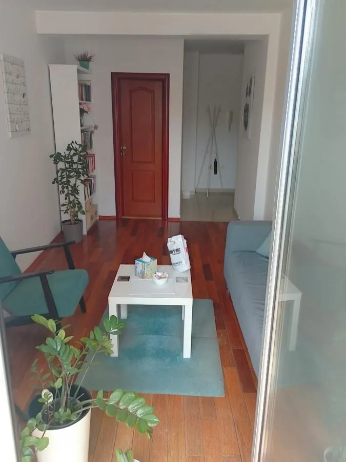 Manji dnevni boravak sa garniturom za sedenje, stočićem i drvenim podom.