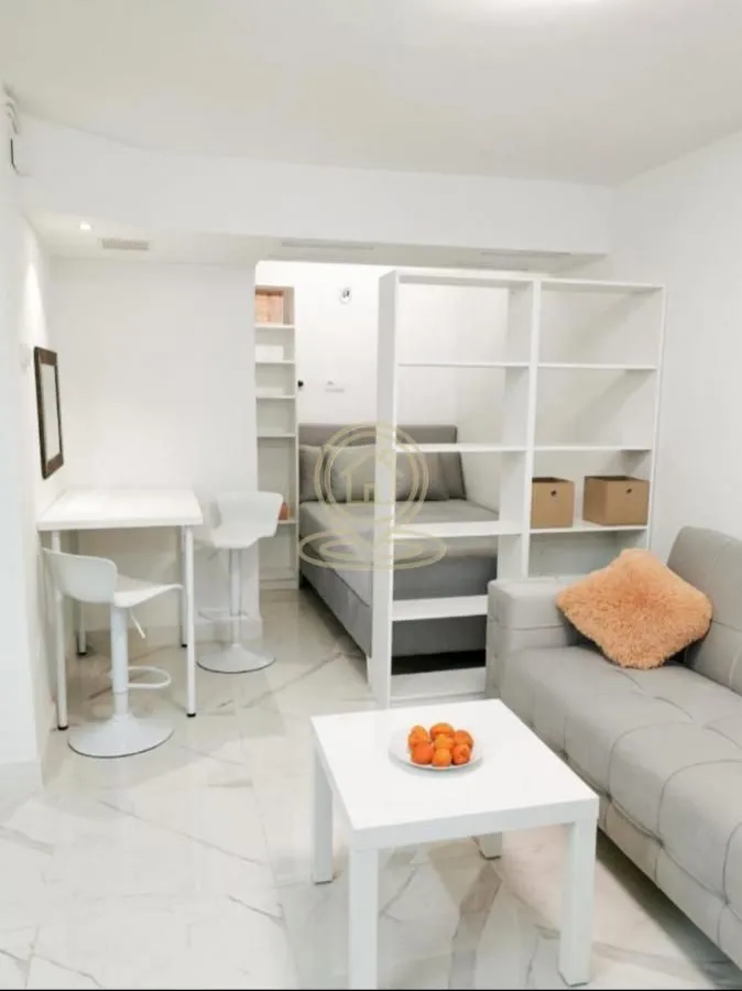 Rent, one bedroom apartment, 30m², Vračar Sve Podlokacije, Beograd