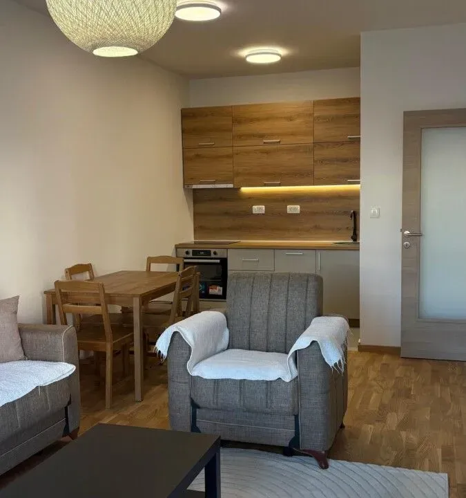 Izdavanje, stan, 46m², Zabjelo, Podgorica