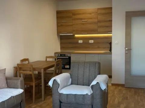 Izdavanje, stan, 46m², Zabjelo, Podgorica - image 1