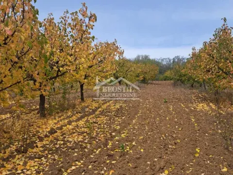 Sale, land lot, 6900m², Grocka, Beograd - image 5