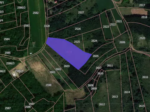 Prodaja, plac, 5600m², Novi Sad, Srbija - image 15