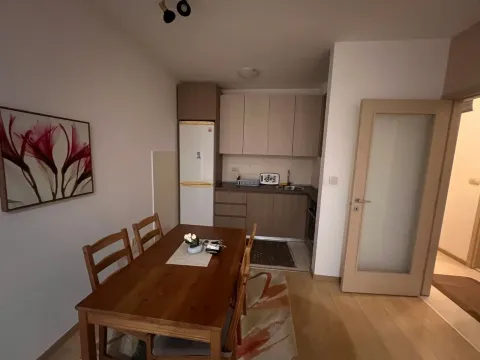 Izdavanje, jednosoban stan, 47m², City Kvart, Podgorica - image 4