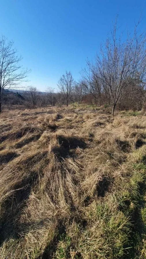 Prodaja, plac, 4952m², Ledinci, Petrovaradin