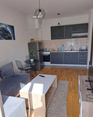 Izdavanje, jednosoban stan, 40m², Zabjelo, Podgorica