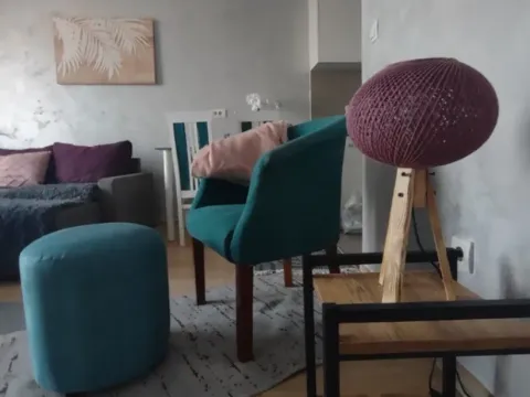 Izdavanje, dvosoban stan, 53m², Kruševac, Podgorica - image 6