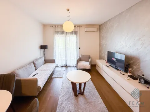 Izdavanje, jednosoban stan, 48m², Ljubović, Podgorica - image 2