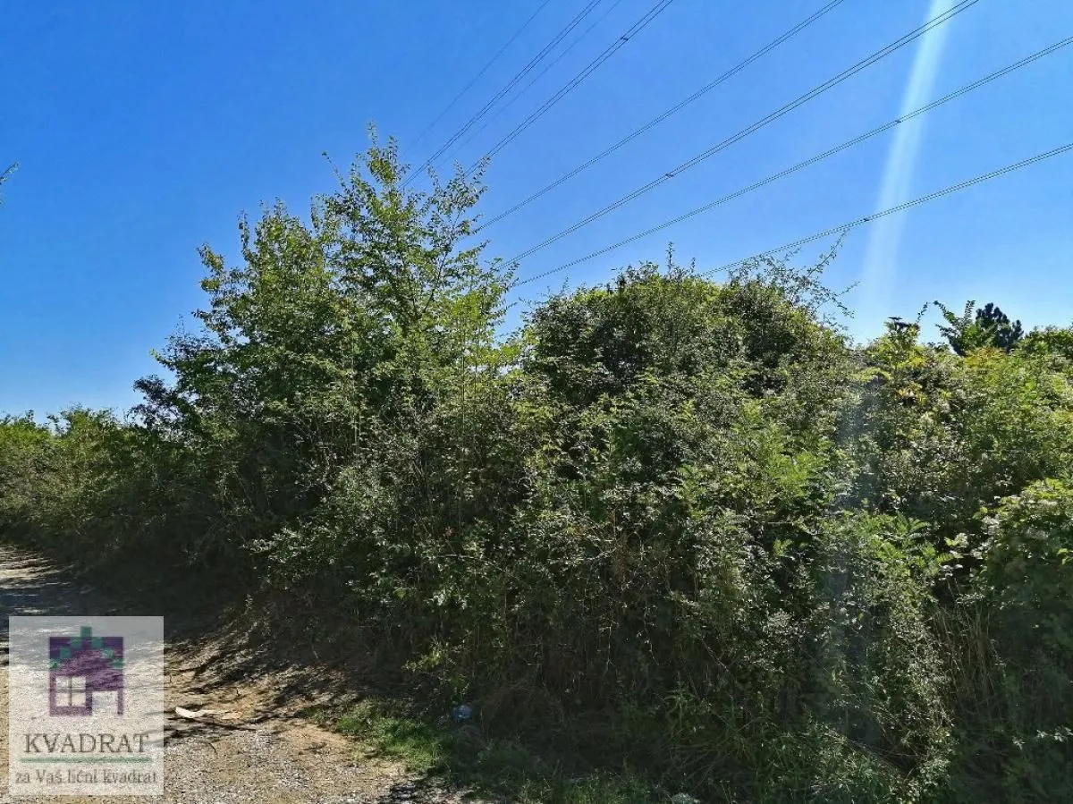 Prodaja, plac, 3500m², Skela, Obrenovac