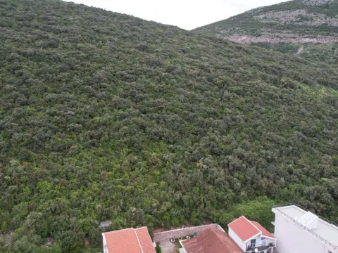 Prodaja, plac, 3585m², Krimovica, Kotor - image 19