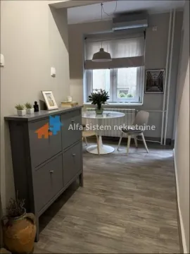Izdavanje, jednosoban stan, 50m², Stari Grad, Beograd - image 9