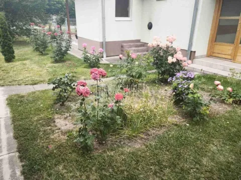 Prodaja, kuća, 81m², Mali Radanovac, Subotica - image 11