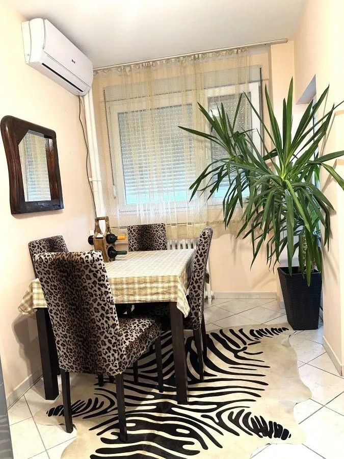 Dining area with a table, chairs, and a large green plant.
