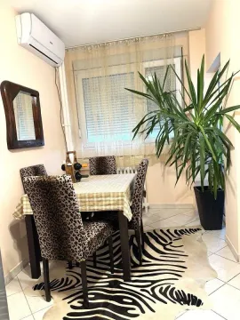 Dining area with a table, chairs, and a large green plant. - image 4