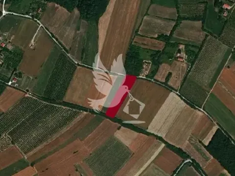 Prodaja, plac, 4500m², Mladenovac, Beograd - image 3