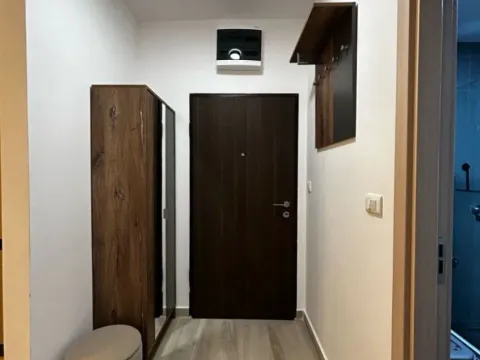 Izdavanje, jednosoban stan, 45m², Zabjelo, Podgorica - image 3