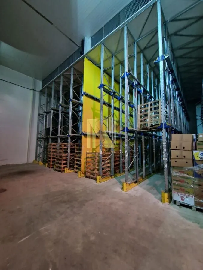 Rent, office space, 1200m², Čenej, Novi Sad Sve Podlokacije