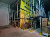 Izdavanje, poslovni prostor, 1200m², Čenej, Novi Sad Sve Podlokacije - image 6