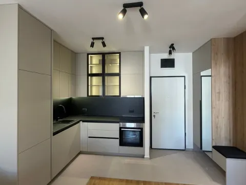 Izdavanje, jednosoban stan, 50m², Stari Aerodrom, Podgorica - image 6