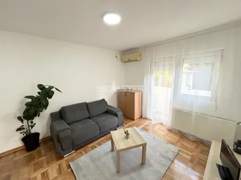 Stan in Ledine