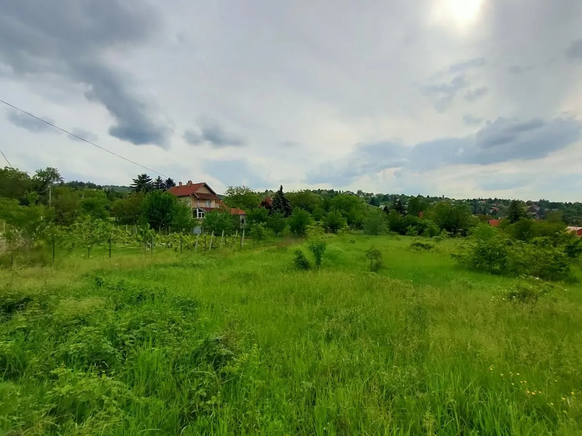 Prodaja, plac, 5000m², Ledinci, Petrovaradin