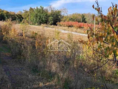 Prodaja, plac, 6700m², Grocka, Beograd - image 8