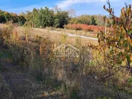 Prodaja, plac, Grocka, Beograd - image 8