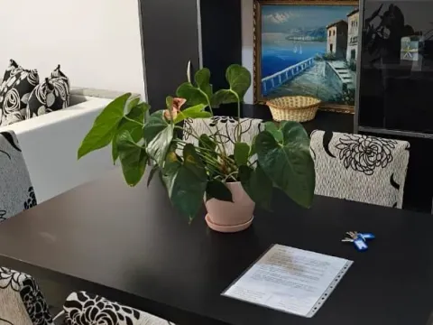 Sale, house, 1500m², Budva, Crna Gora - image 10