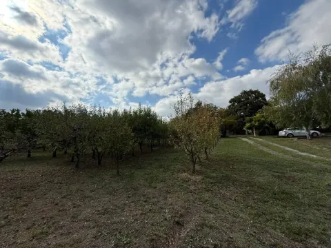 Prodaja, kuća, 204m², Bocke, Petrovaradin - image 56