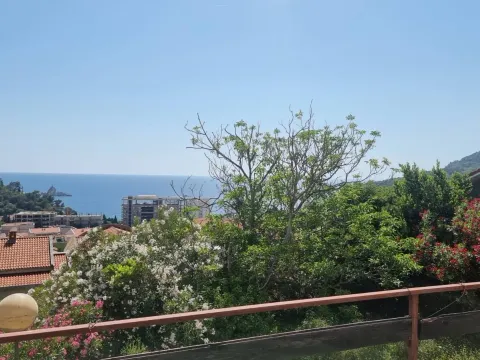Prodaja, kuća, 480m², Petrovac, Budva - image 22