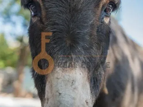 Prodaja, poslovni prostor, Ostalo, Podgorica - image 15