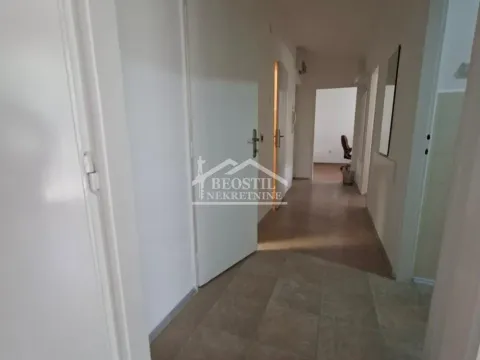 Rent, three bedroom apartment, 63m², Zemun Sve Podlokacije, Beograd - image 11