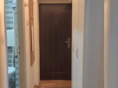 Rent, one bedroom apartment, 30m², Cvijićeva, Palilula Sve Podlokacije - image 2