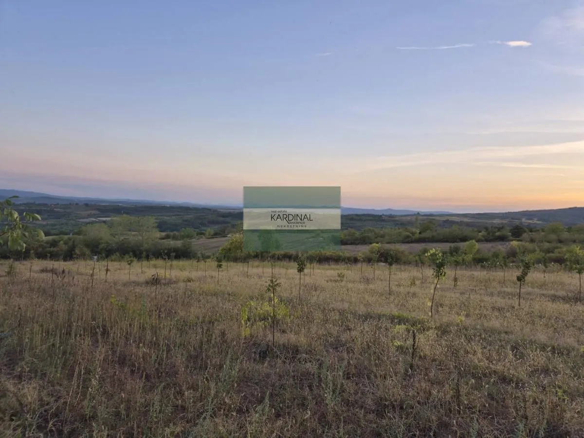 Prodaja, plac, 27920m², Siokovac, Jagodina