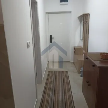 Rent, studio apartment, 24m², Zabjelo, Podgorica - image 5