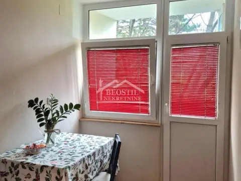 Izdavanje, jednosoban stan, 38m², Voždovac Sve Podlokacije, Beograd - image 5